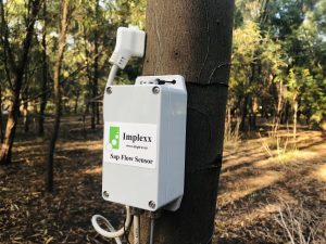 The Implexx Sap Flow Sensor can be used to measure canopy conductance