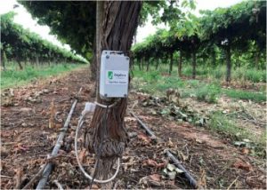 Sap Flow Meter for Growers